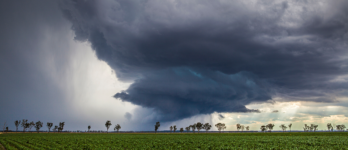 Bureau of Meteorology gives update on incoming weather events | AUSVEG